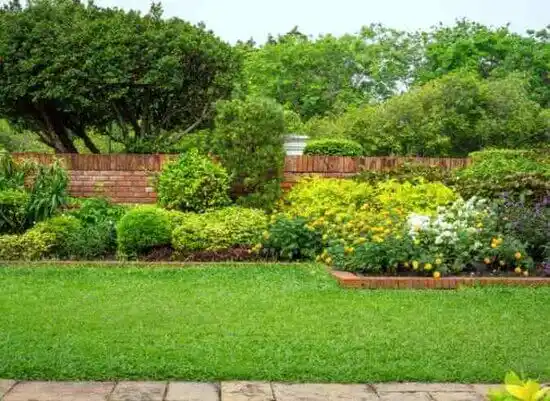 landscaping services Edgewater